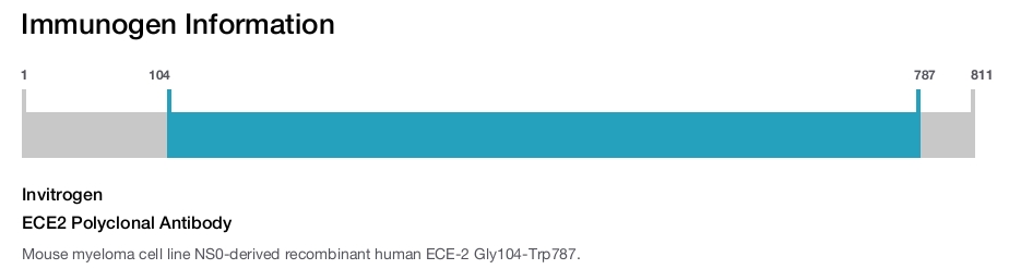 ECE2 Polyclonal Antibody