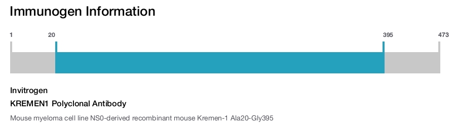 KREMEN1 Polyclonal Antibody