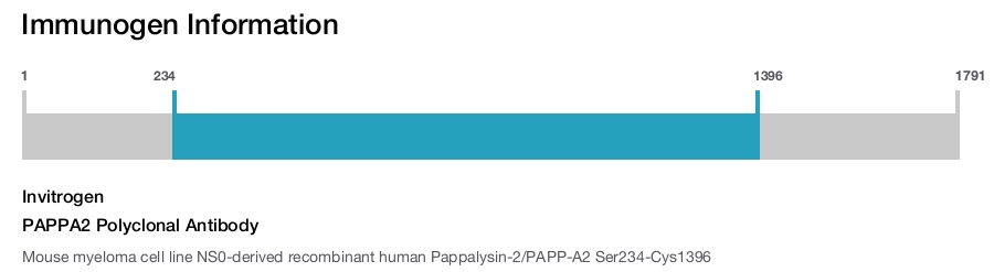 PAPPA2 Polyclonal Antibody