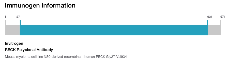 RECK Polyclonal Antibody