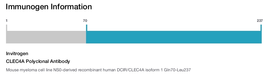 CLEC4A Polyclonal Antibody