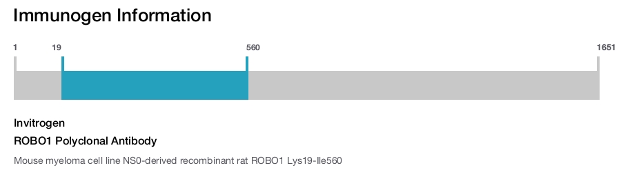 ROBO1 Polyclonal Antibody