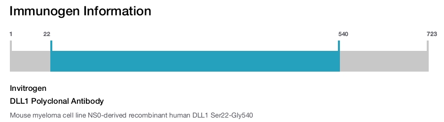 DLL1 Polyclonal Antibody