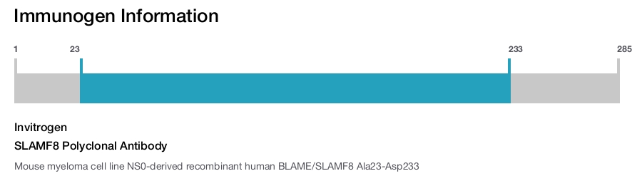 SLAMF8 Polyclonal Antibody