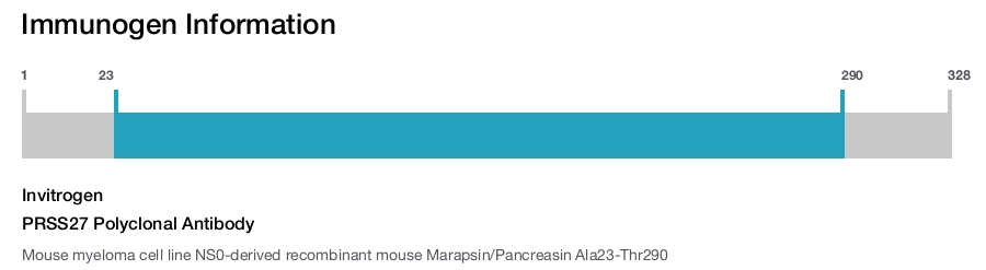 PRSS27 Polyclonal Antibody