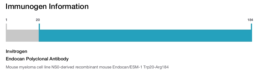 Endocan Polyclonal Antibody