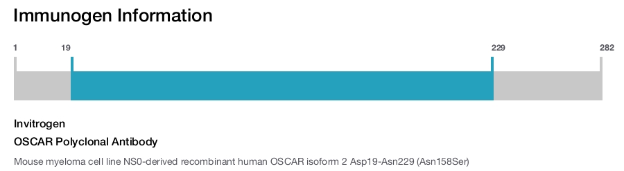 OSCAR Polyclonal Antibody
