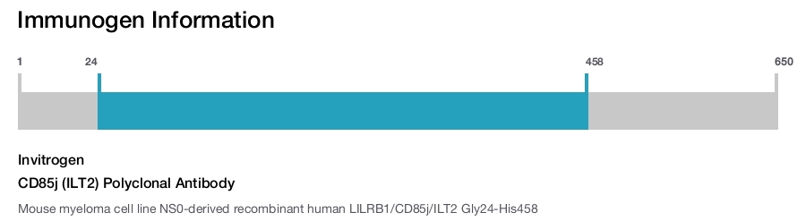 CD85j (ILT2) Polyclonal Antibody