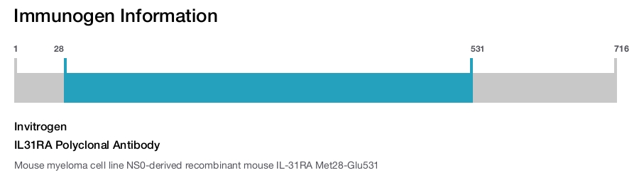 IL31RA Polyclonal Antibody