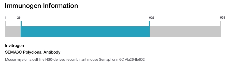 SEMA6C Polyclonal Antibody