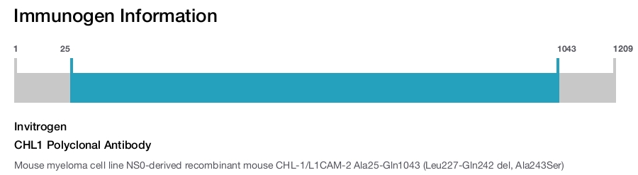 CHL1 Polyclonal Antibody