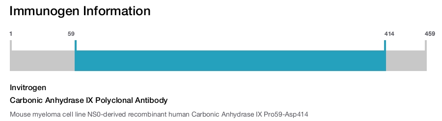 Carbonic Anhydrase IX Polyclonal Antibody
