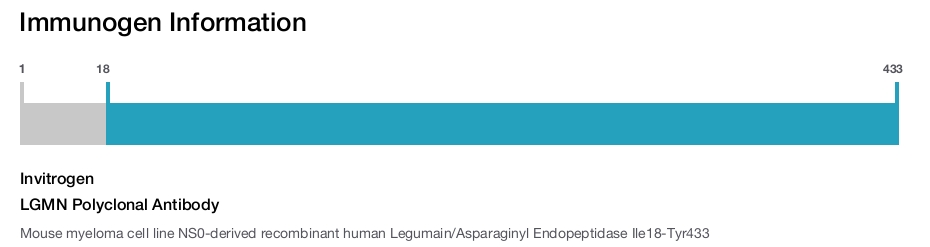 LGMN Polyclonal Antibody