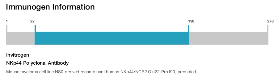 NKp44 Polyclonal Antibody