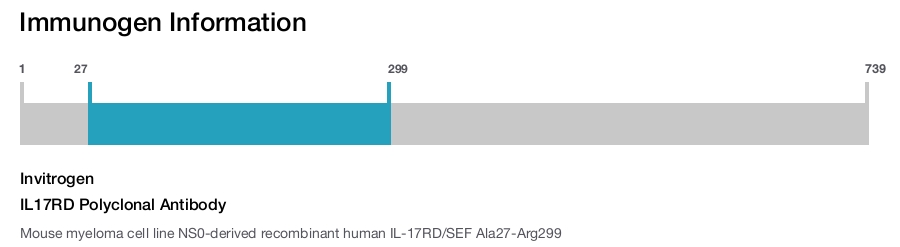 IL17RD Polyclonal Antibody