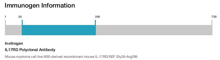 IL17RD Polyclonal Antibody