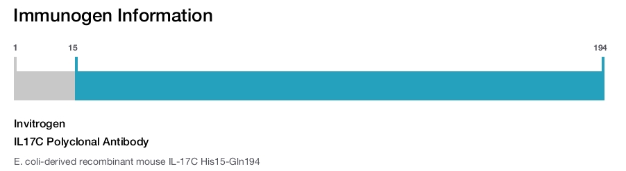 IL17C Polyclonal Antibody
