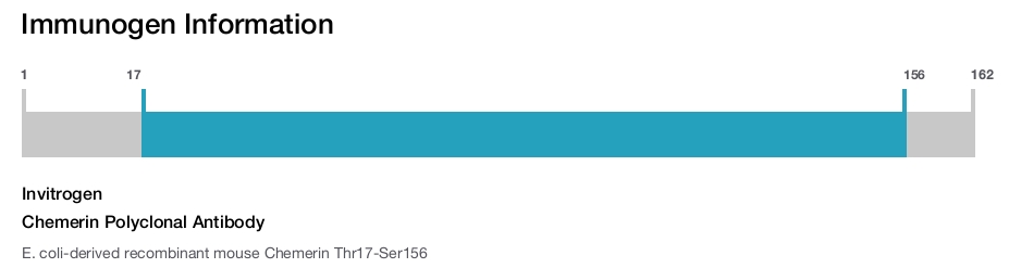 Chemerin Polyclonal Antibody
