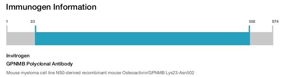 GPNMB Polyclonal Antibody