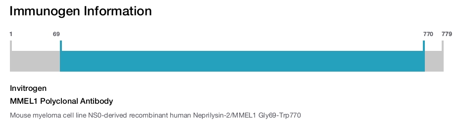 MMEL1 Polyclonal Antibody