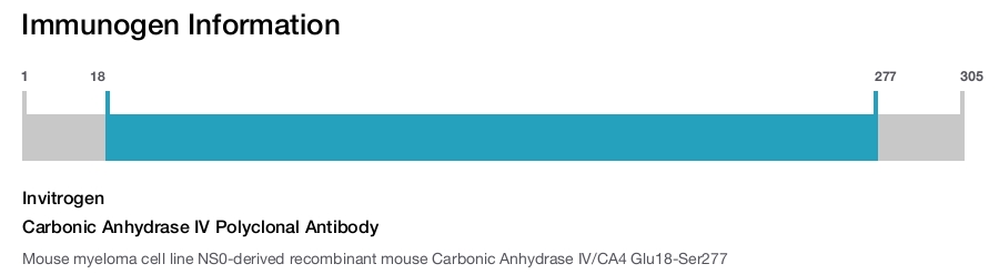 Carbonic Anhydrase IV Polyclonal Antibody