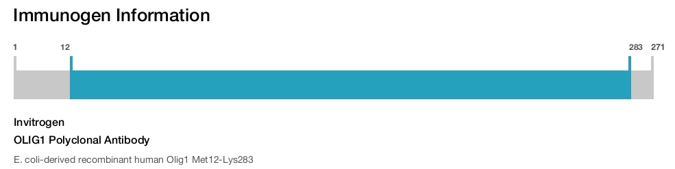 OLIG1 Polyclonal Antibody
