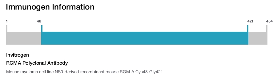 RGMA Polyclonal Antibody
