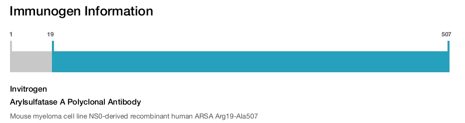 Arylsulfatase A Polyclonal Antibody