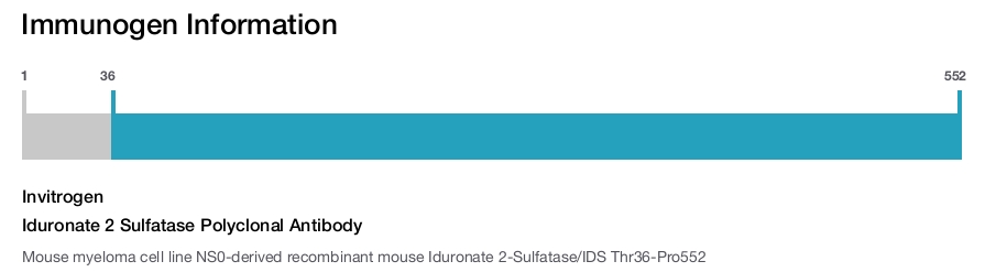 Iduronate 2 Sulfatase Polyclonal Antibody