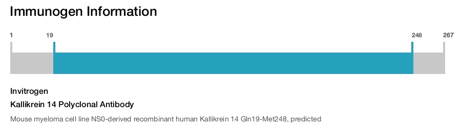 Kallikrein 14 Polyclonal Antibody