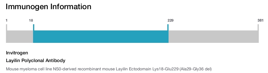 Layilin Polyclonal Antibody