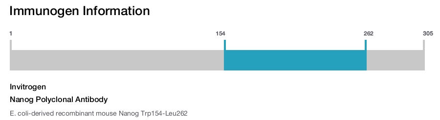 Nanog Polyclonal Antibody