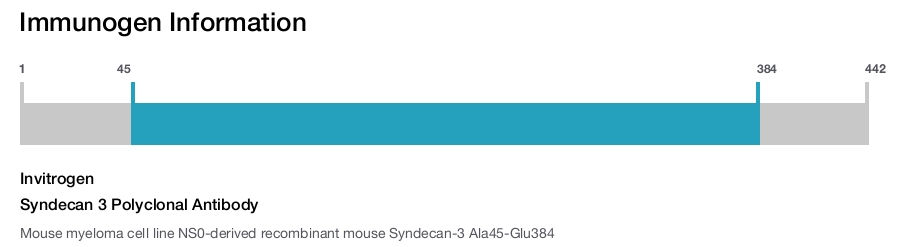 Syndecan 3 Polyclonal Antibody
