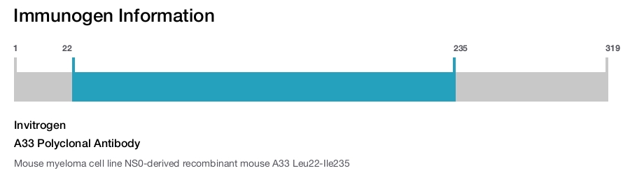 A33 Polyclonal Antibody