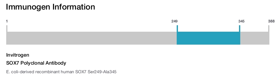 SOX7 Polyclonal Antibody