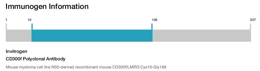 CD300f Polyclonal Antibody