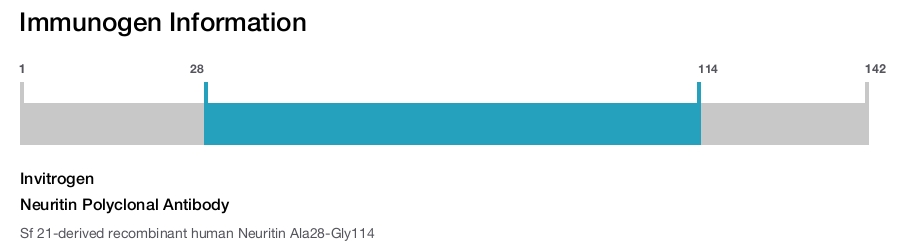 Neuritin Polyclonal Antibody