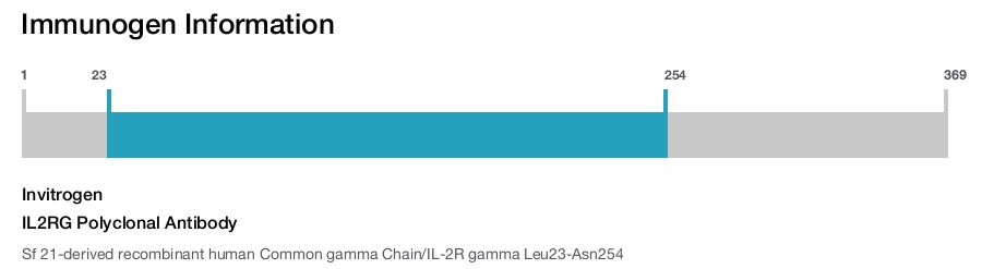 IL2RG Polyclonal Antibody