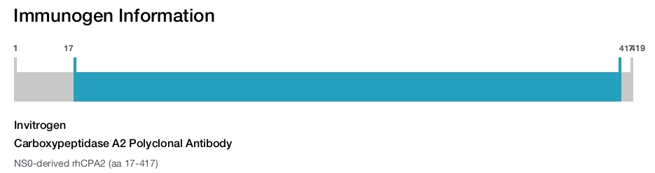 Carboxypeptidase A2 Polyclonal Antibody