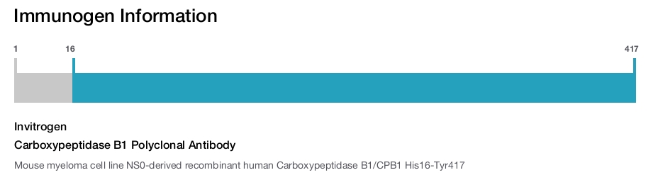 Carboxypeptidase B1 Polyclonal Antibody