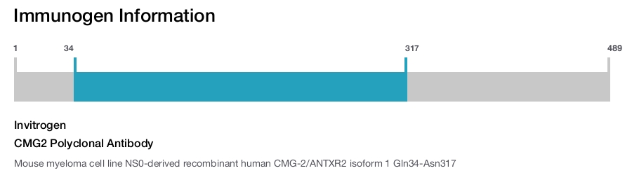 CMG2 Polyclonal Antibody