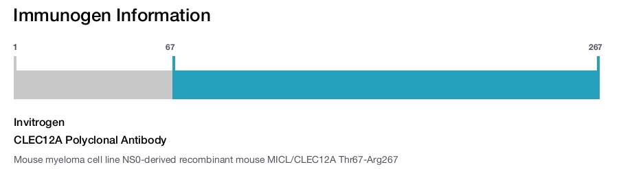 CLEC12A Polyclonal Antibody