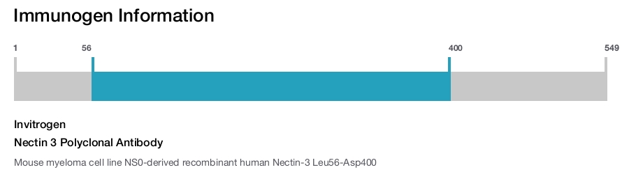 Nectin 3 Polyclonal Antibody