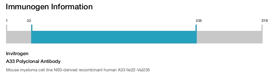 A33 Polyclonal Antibody