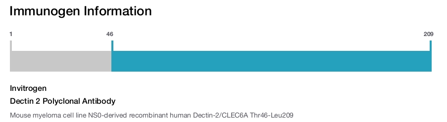 Dectin 2 Polyclonal Antibody