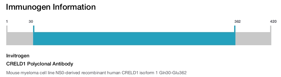 CRELD1 Polyclonal Antibody