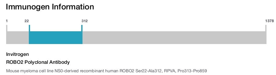 ROBO2 Polyclonal Antibody
