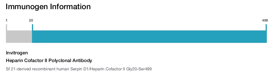 Heparin Cofactor II Polyclonal Antibody