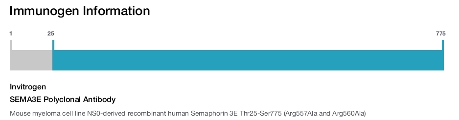 SEMA3E Polyclonal Antibody