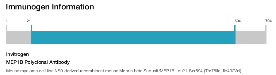 MEP1B Polyclonal Antibody